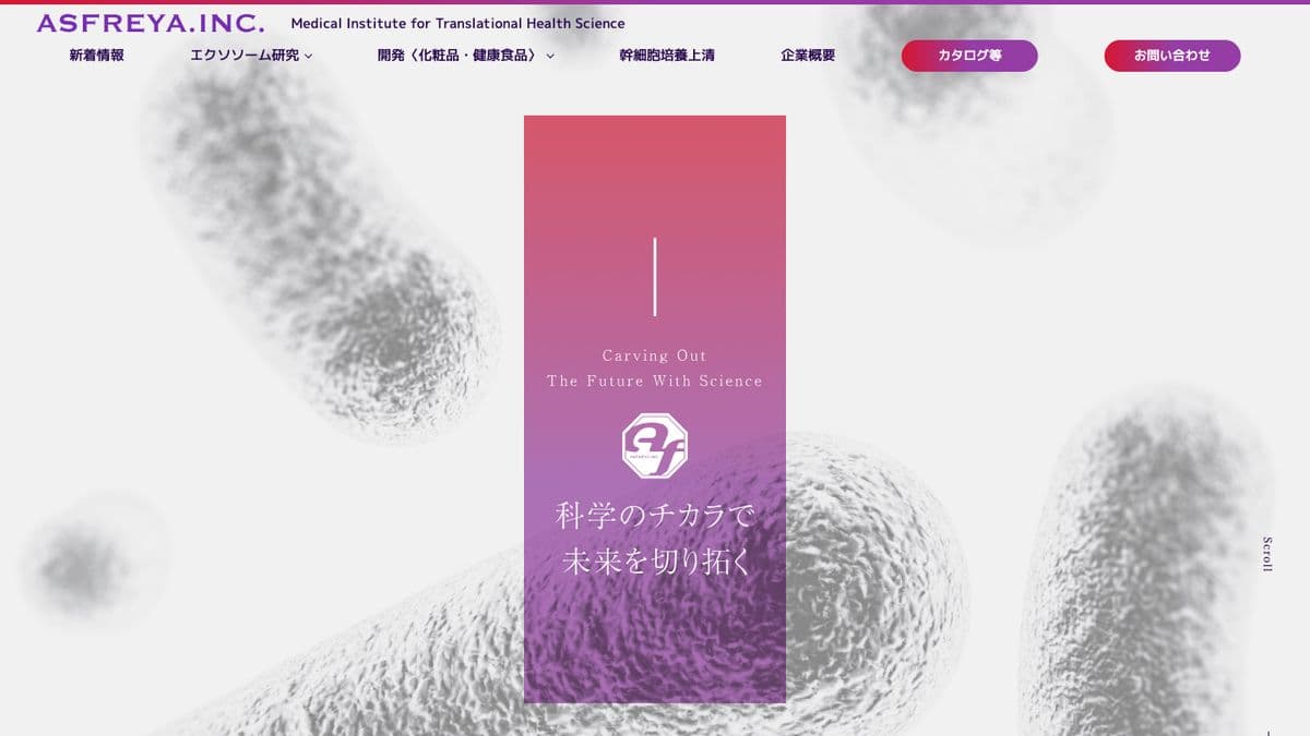 株式会社アズフレイヤのトップ画面